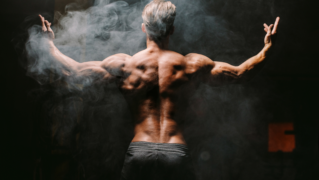 masa musculară fitness