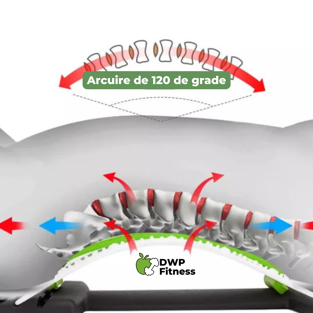 DWP Stretch Master - Dispozitiv pentru relaxare și masaj al spatelui